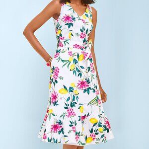 EUC RSVP by Talbots Lively Lemon Fit and Flare Dress Size 4